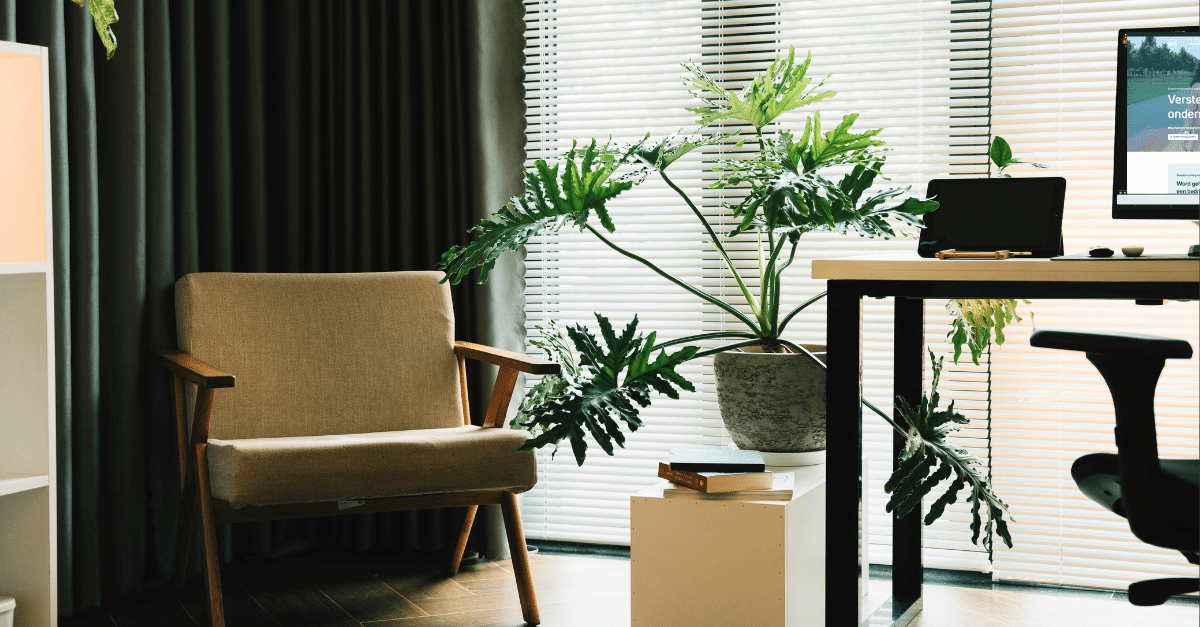 coachingsgesprek voor ondernemer